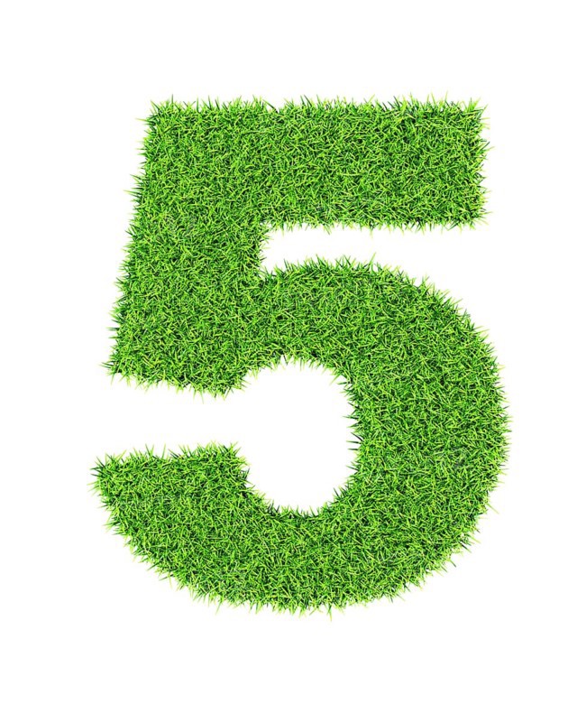Grass number 1 five