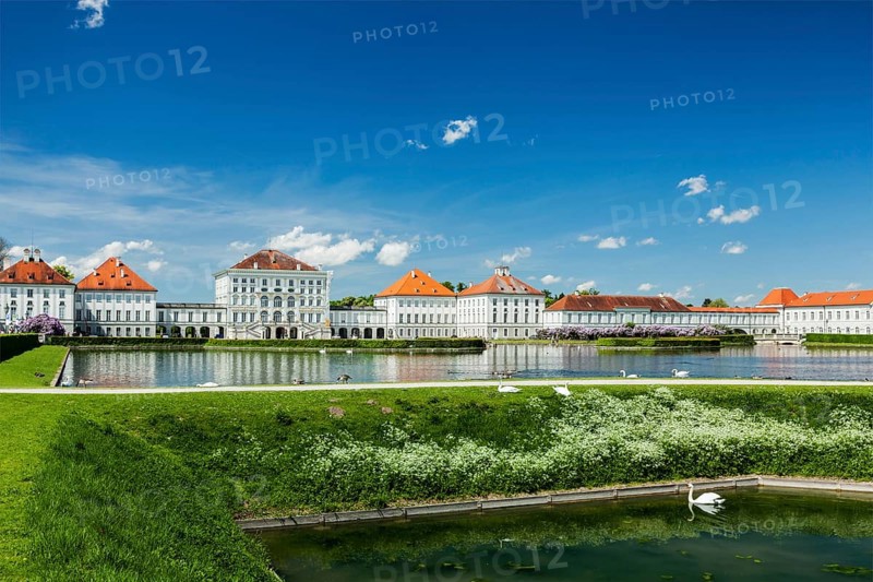 Swans in fountain in front of the Nymphenburg Palace. Munich