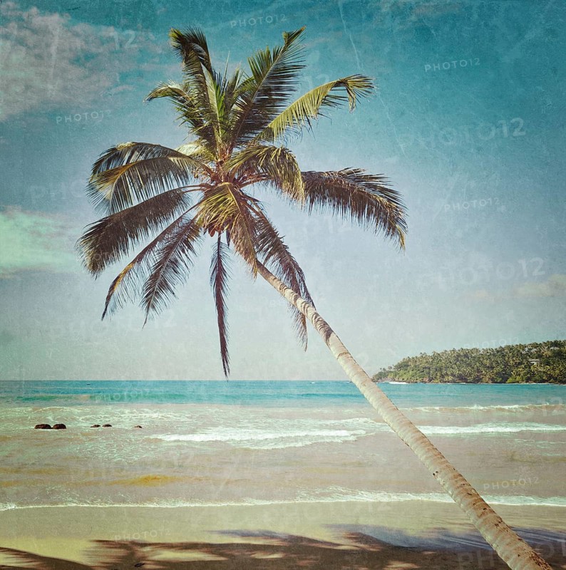 Vintage retro hipster style travel image of tropical paradise idyllic beach with palm with grunge texture overlaid. Sri Lanka