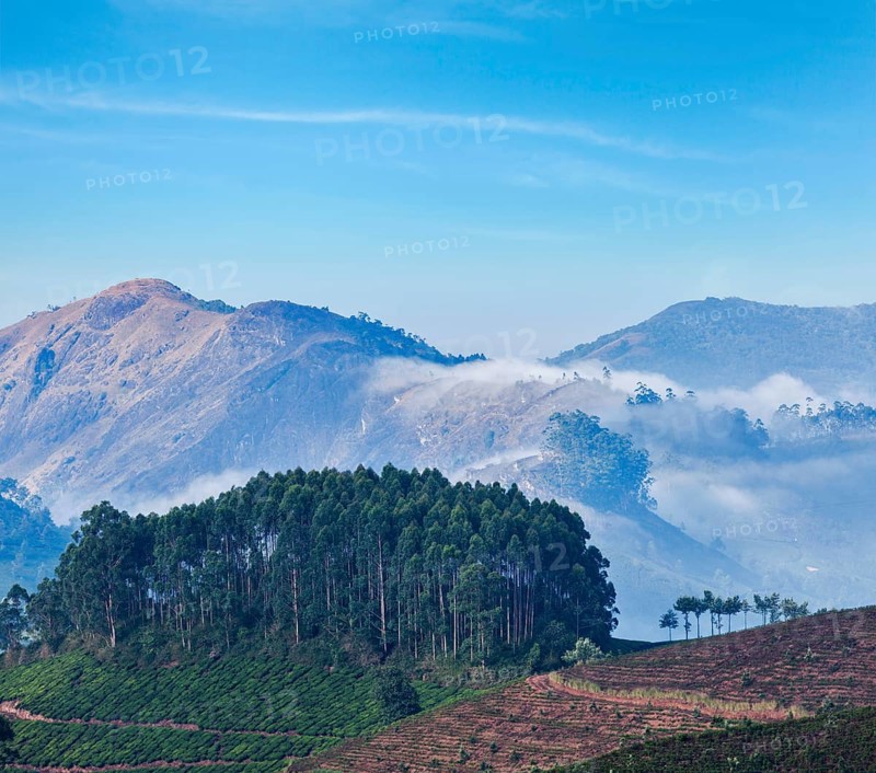 Kerala India travel background