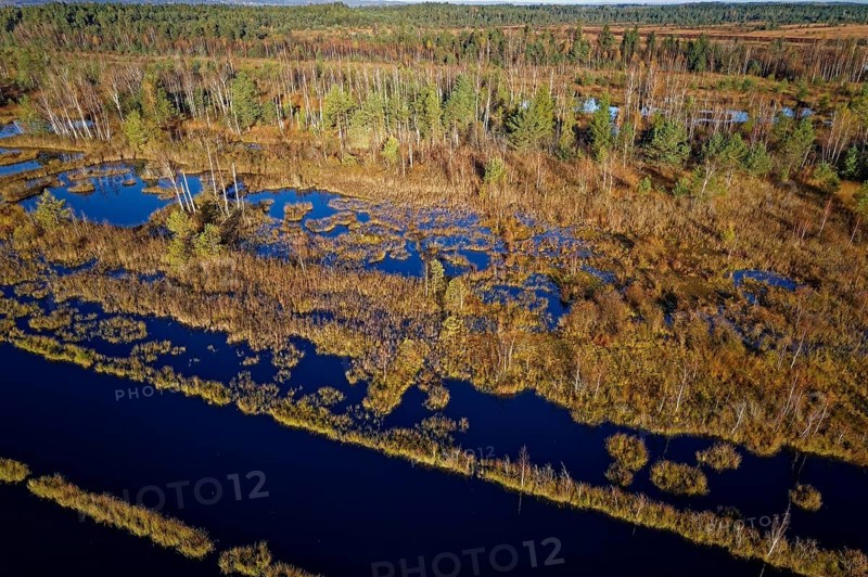 Drone image Nicklheimer Filzen