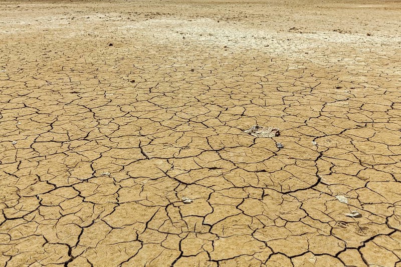 Cracked earth background texture
