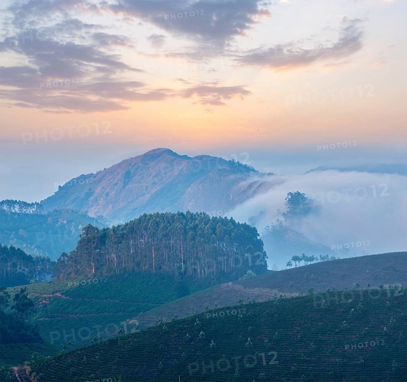 Kerala India travel background