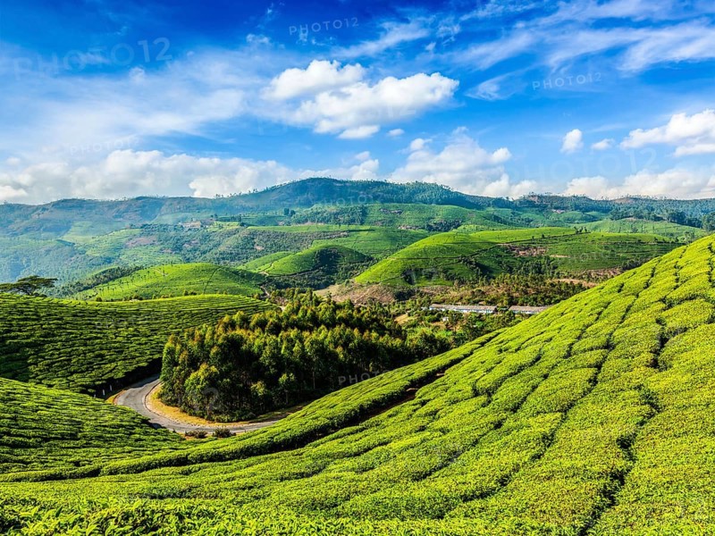 Kerala India travel background
