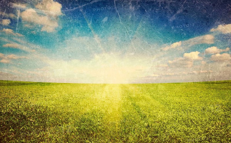 Sunset sun and field of green fresh grass under blue sky