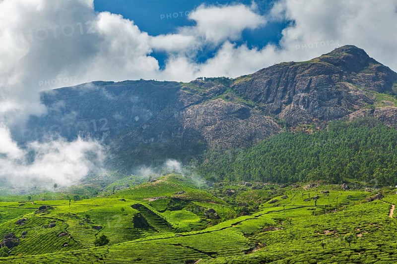 Kerala India travel background