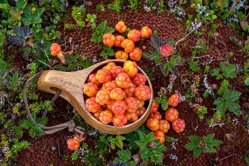 Cloudberries