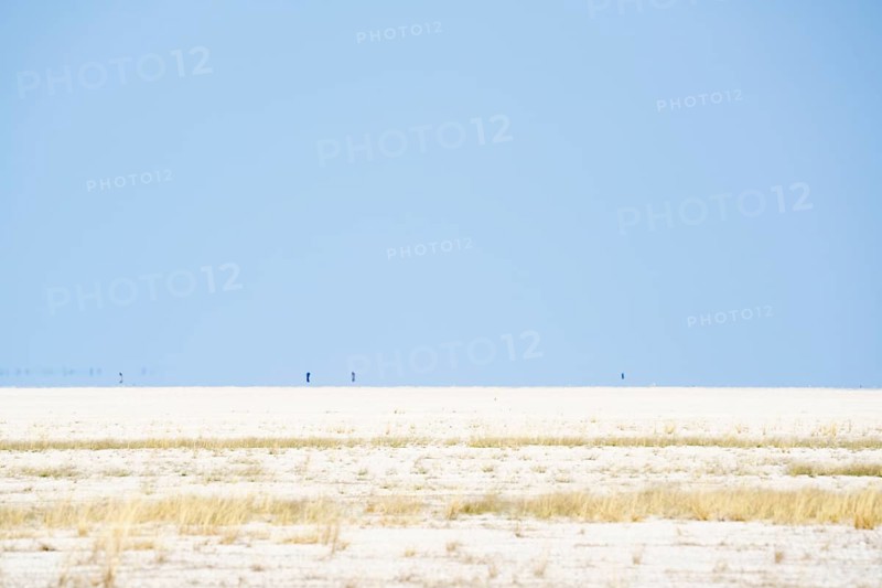 Animals in the distance walk on the dry Etosha salt pan. Etosha National Park