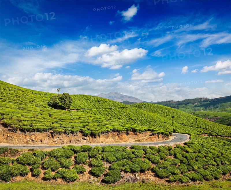 Kerala India travel background