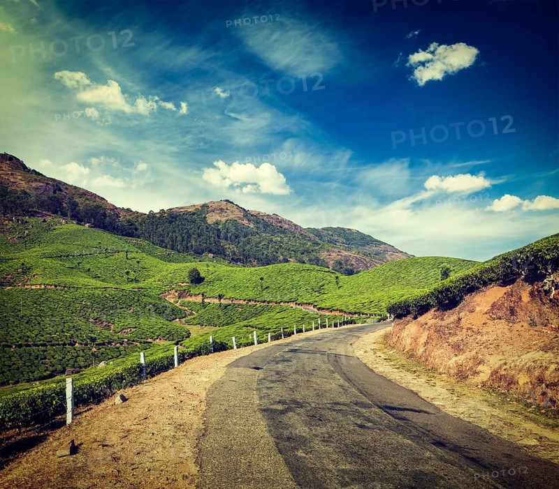 Vintage retro hipster style travel image of Kerala India travel background