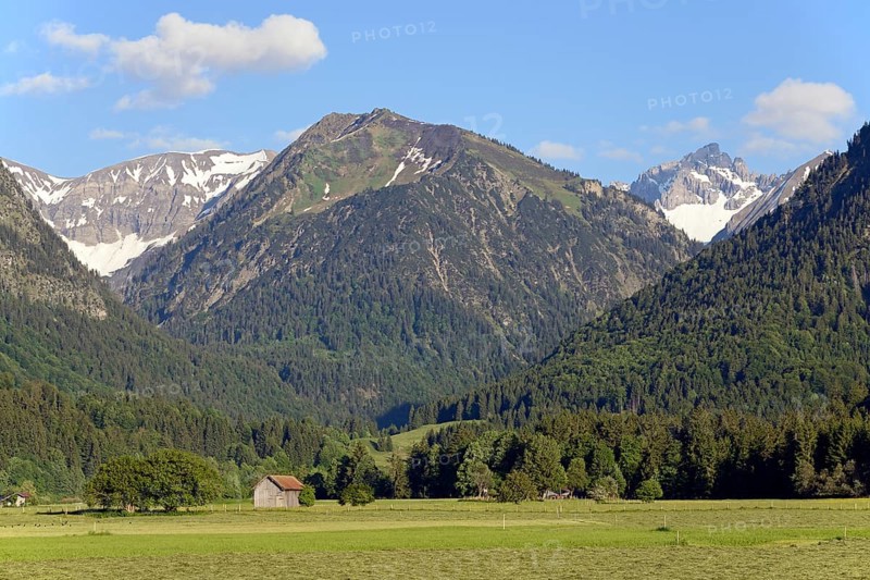 View from the Loretto meadows to the hay harvest and to the mountain Riefenkopf 1748m