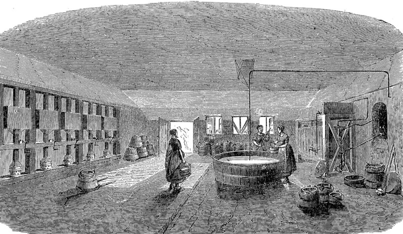 Model farm in Zealand in 1896