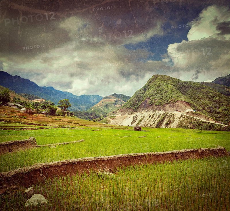Vintage retro hipster style travel image of rice field terraces