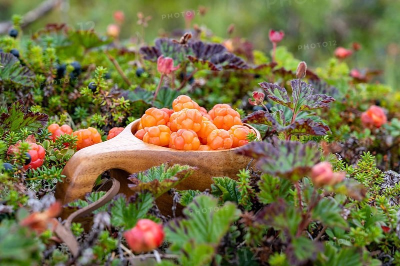 Cloudberries