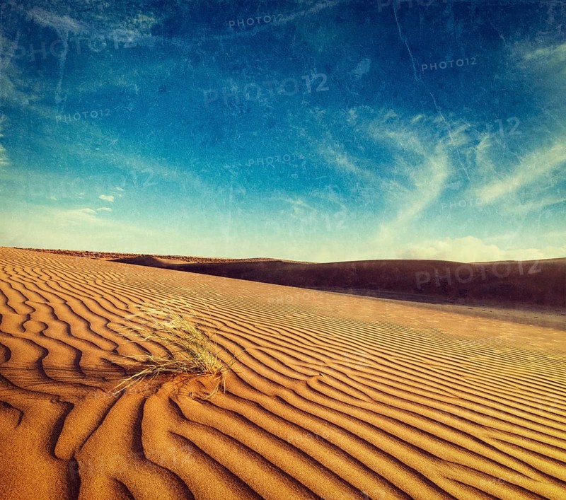 Vintage retro hipster style travel image of dunes of Thar Desert. Sam Sand dunes