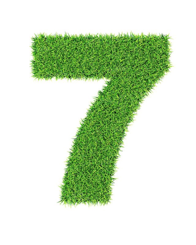 Grass number 7 seven