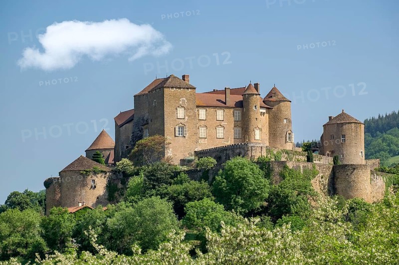 Berze Castle or Fortress of Berze le Chatel