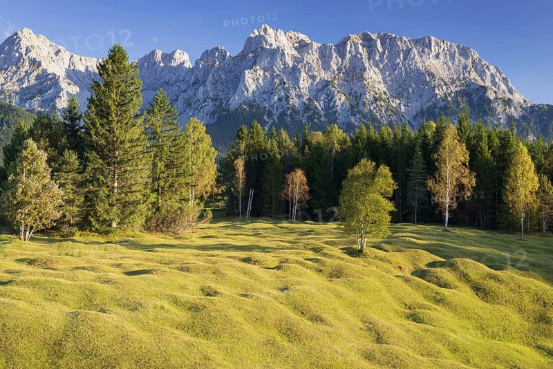 Mogul meadows between Mittenwald and Kruen