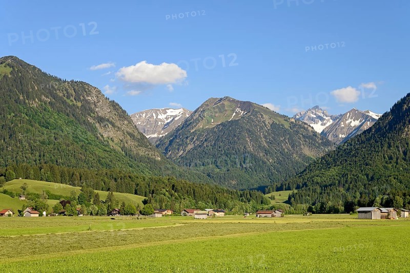 View from the Loretto meadows to the hay harvest and to the mountain Riefenkopf 1748 m