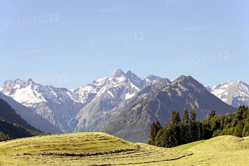 View of the mountain panorama of the Allgaeu Alps