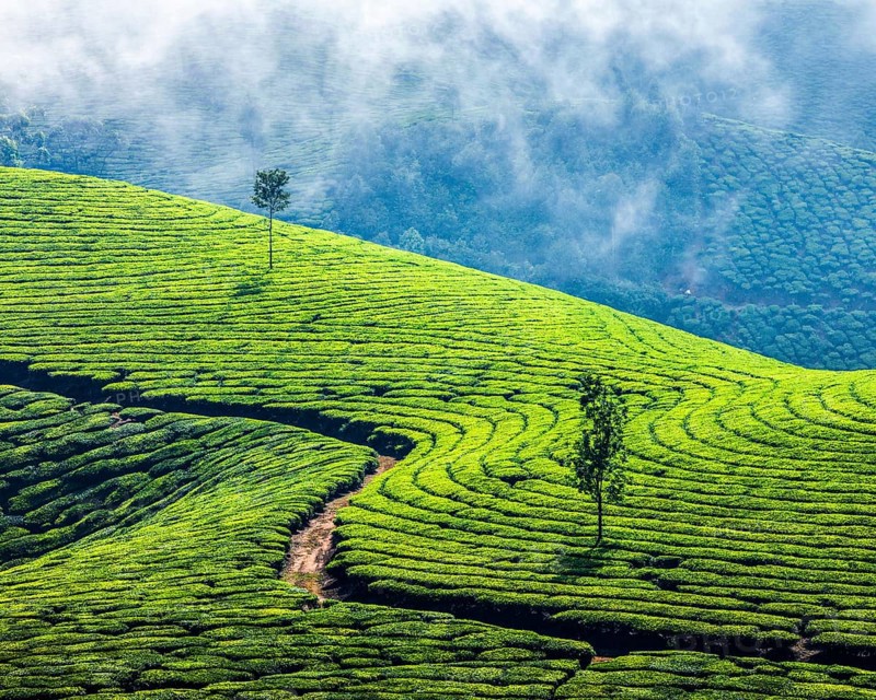 Kerala India travel background