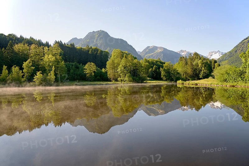 Moor pond