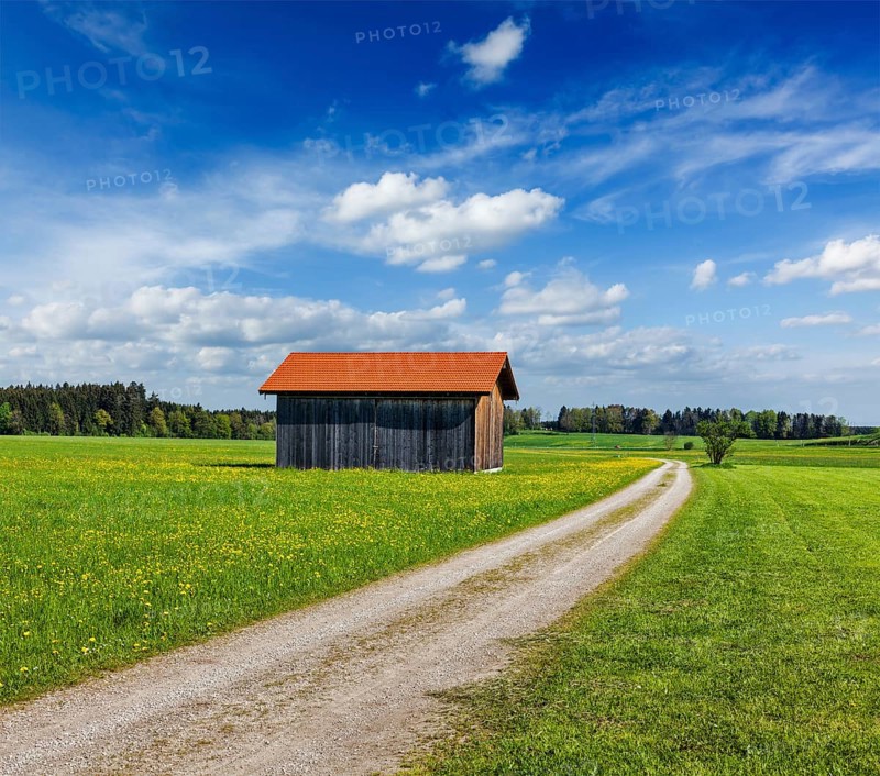 Rural road in summer meadow with wooden shed. Bavaria