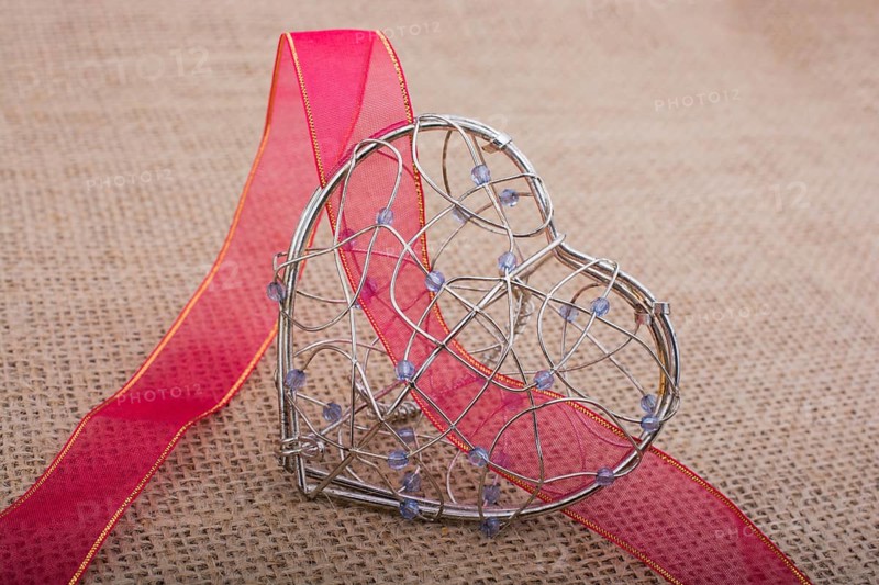 Band and Heart shaped cage on linen canvas