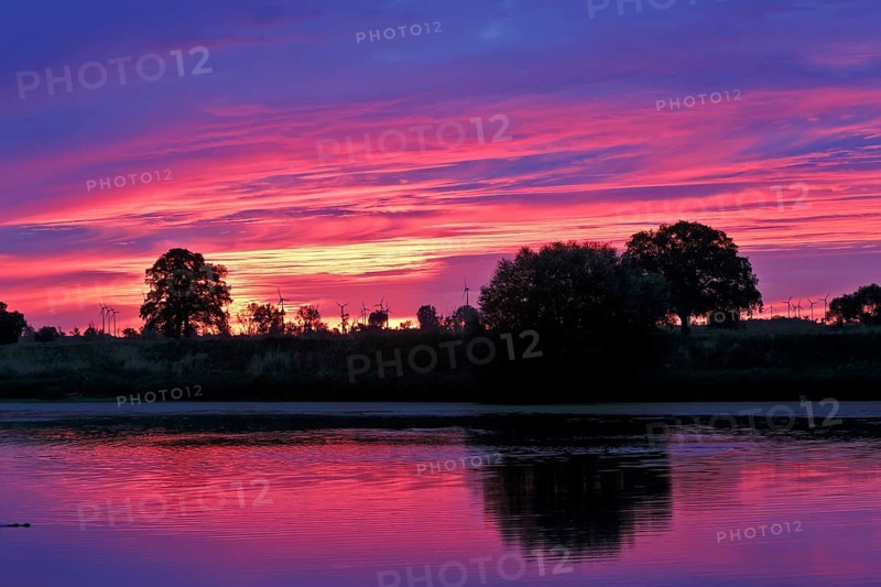Light mood in the morning at an old watercourse in the Elbe floodplain