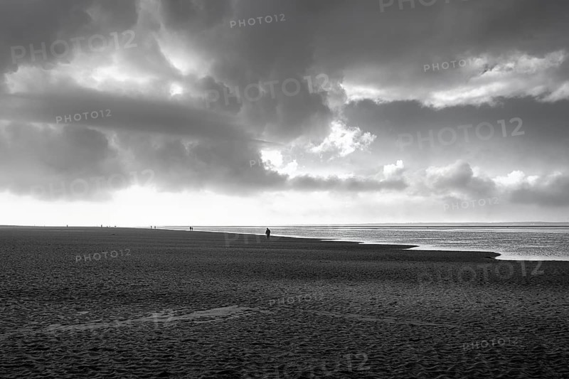 View of the dark sand mudflats in autumn
