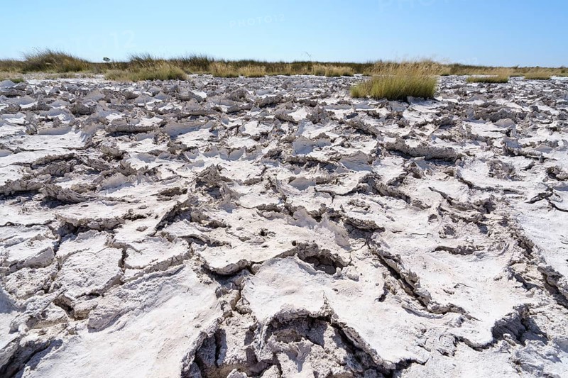 Drought mud patterns with cracks