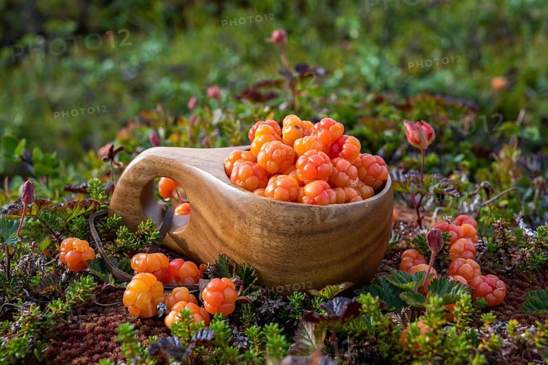 Cloudberries