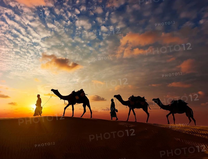 Rajasthan travel background
