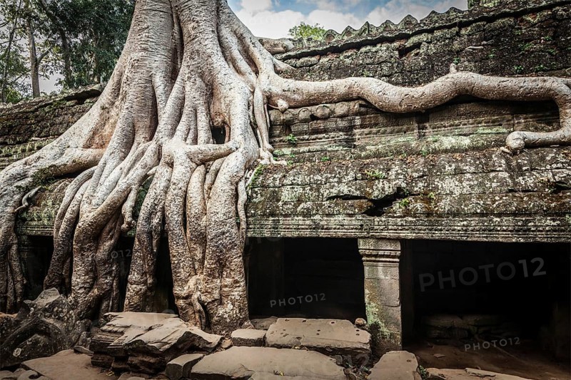 Travel Cambodia concept background