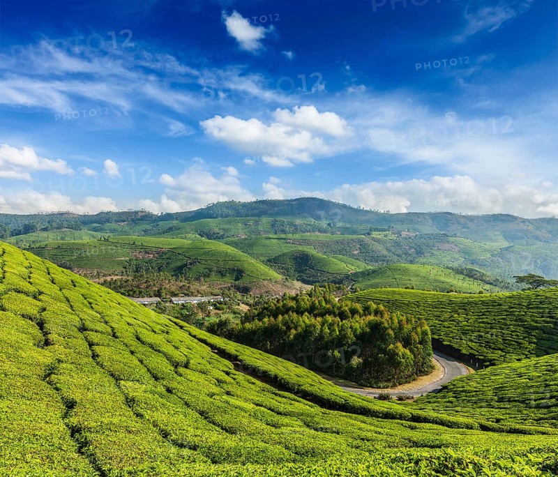 Kerala India travel background