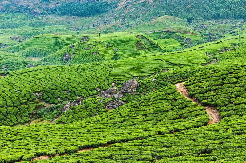 Kerala India travel background