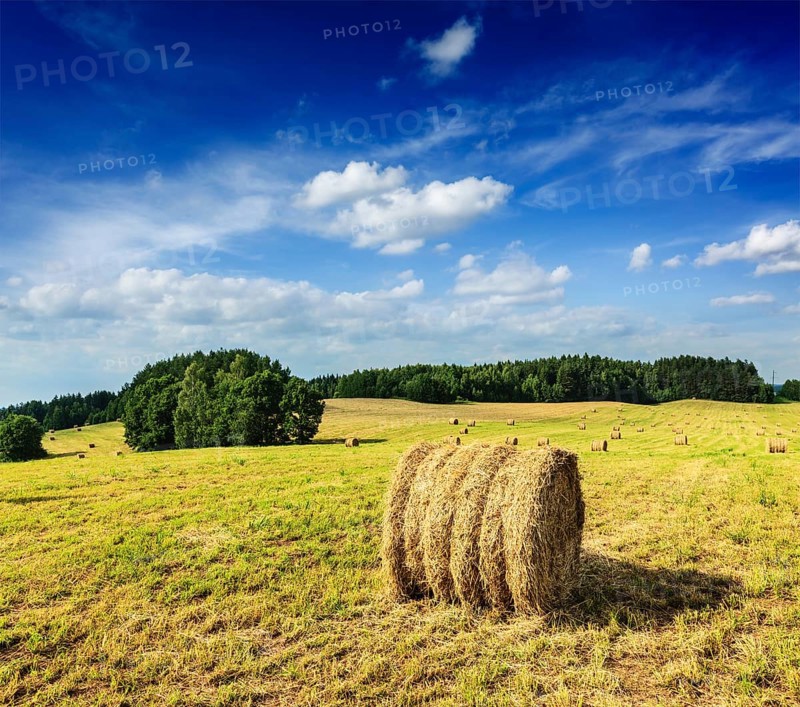 Agriculture background