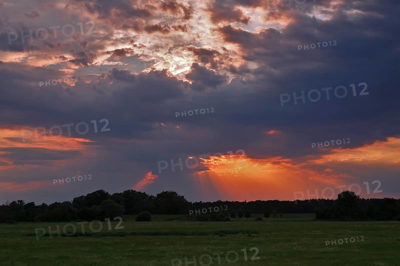 Middle Elbe Biosphere Reserve