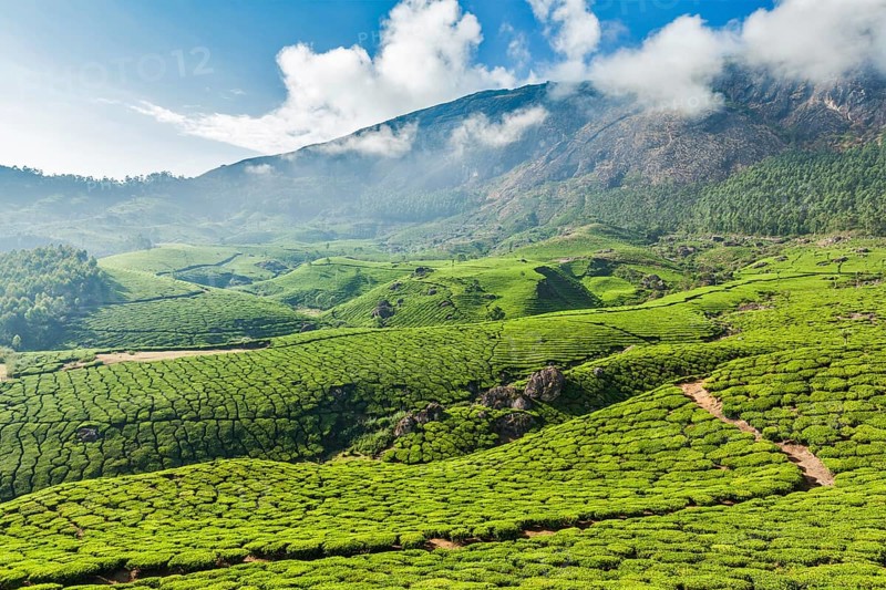 Kerala India travel background