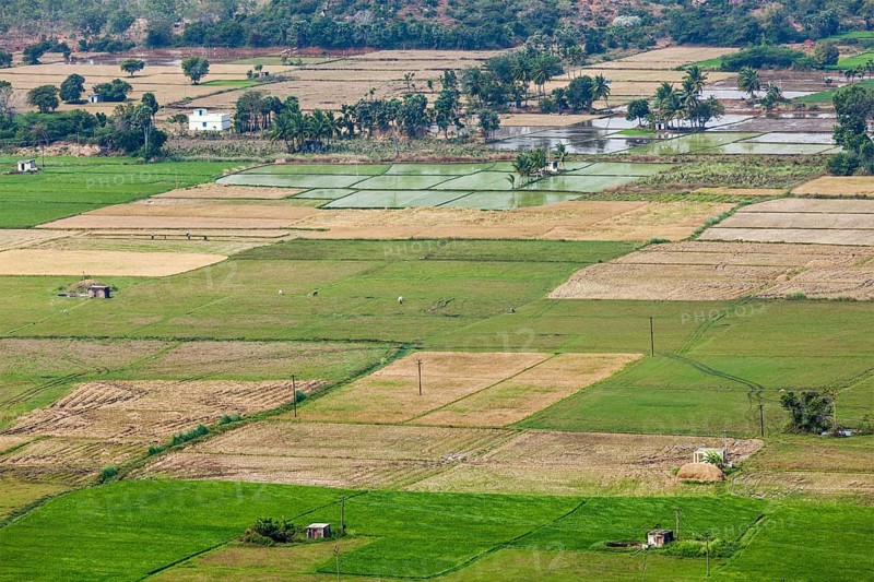 Aeiral view of Indian countryside with rice paddies. Near Thirukalukundram