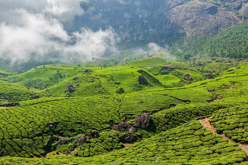 Kerala India travel background