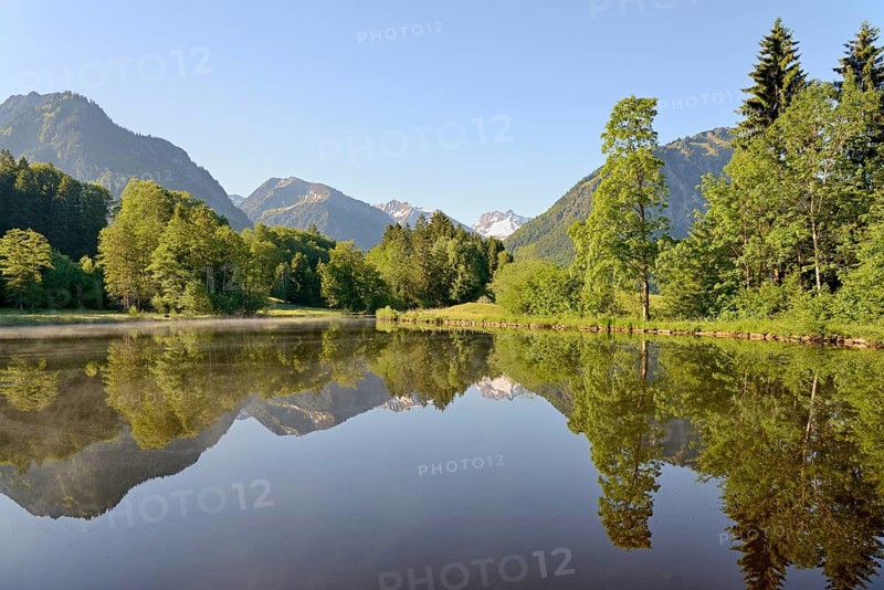 Moor pond