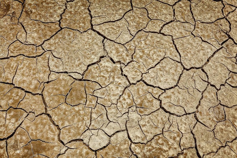 Cracked earth background texture