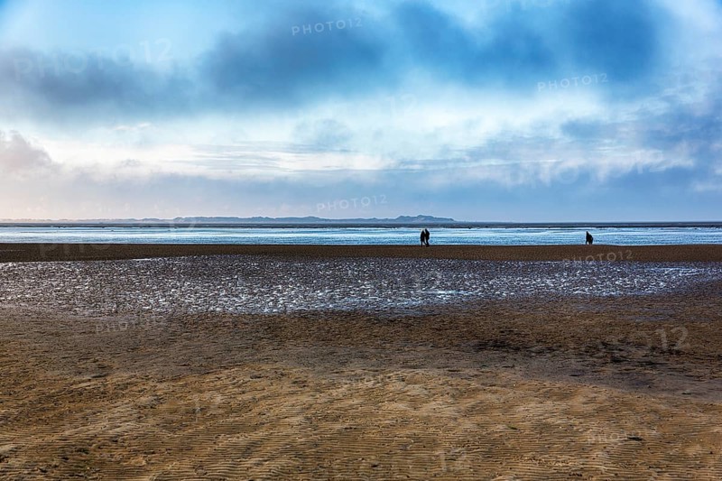 Walkers in the Wadden Sea