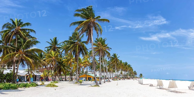 Beach Playa Spratt Bight Travel Holiday Vacation with Palm Panorama by the Sea on San Andres Island in Colombia