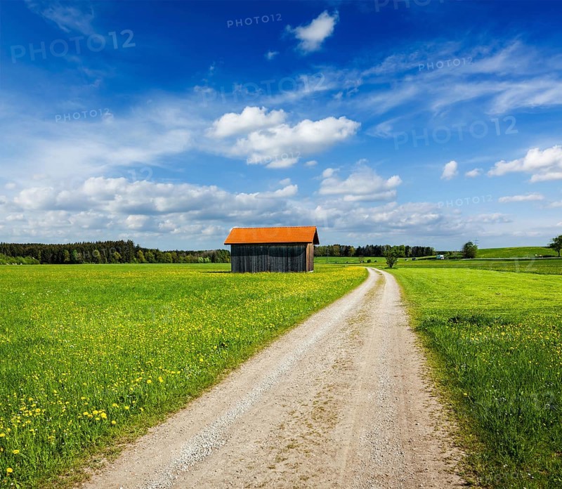 Rural road in summer meadow with wooden shed. Bavaria