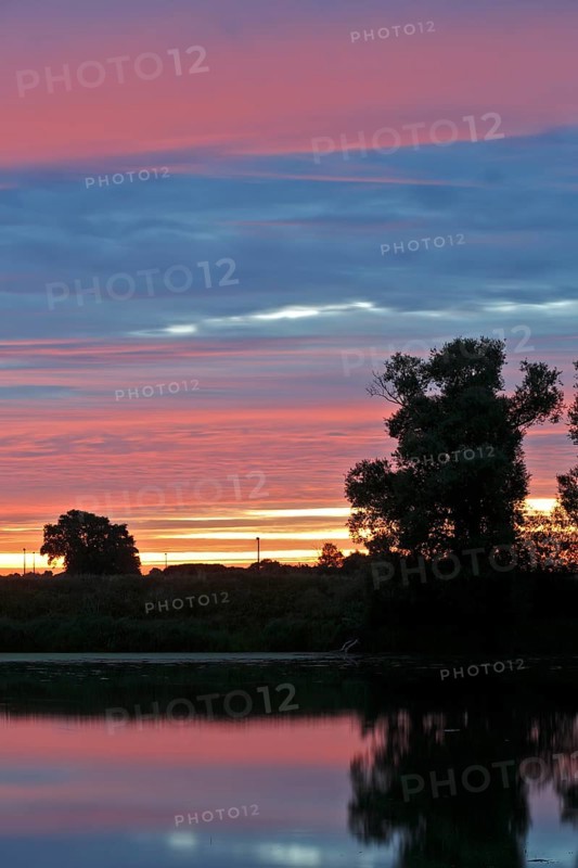 Light mood in the morning at an old watercourse in the Elbe floodplain