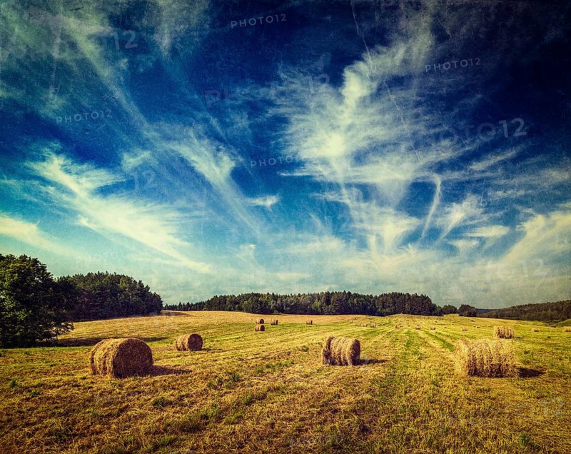 Vintage retro hipster style travel image of Agriculture background