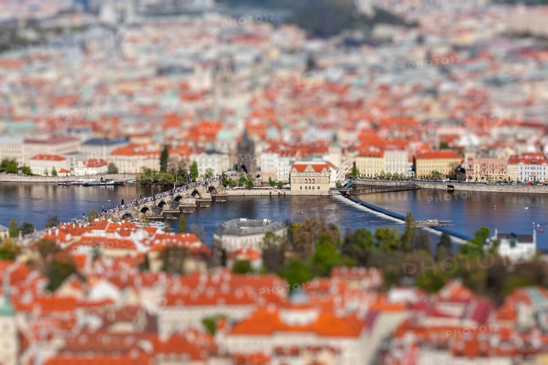 Aerial view of Charles Bridge over Vltava river and Old city from Petrin hill Observation Tower with tilt shift toy effect shallow depth of field. Prague