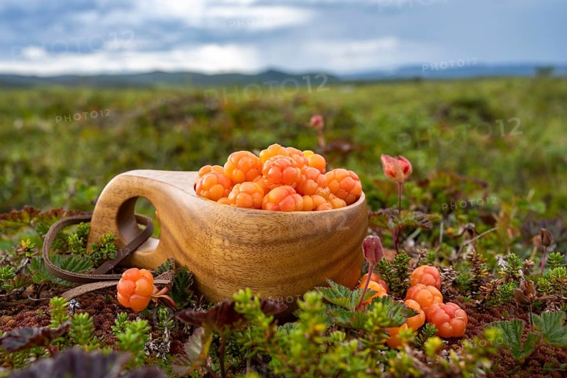Cloudberries